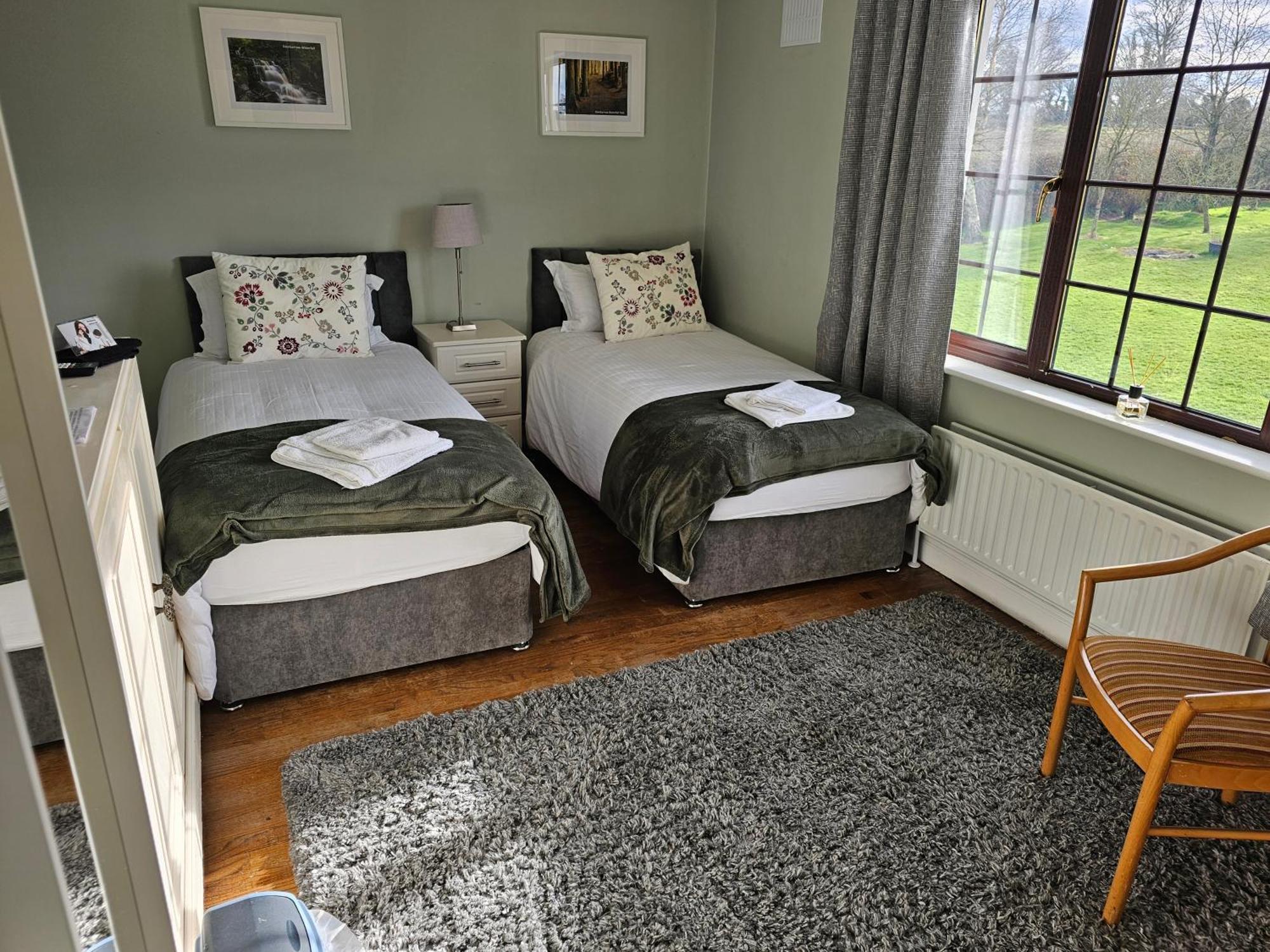 Oak House Laois B&B Portarlington Buitenkant foto