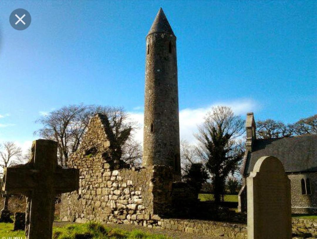 Oak House Laois B&B Portarlington Buitenkant foto