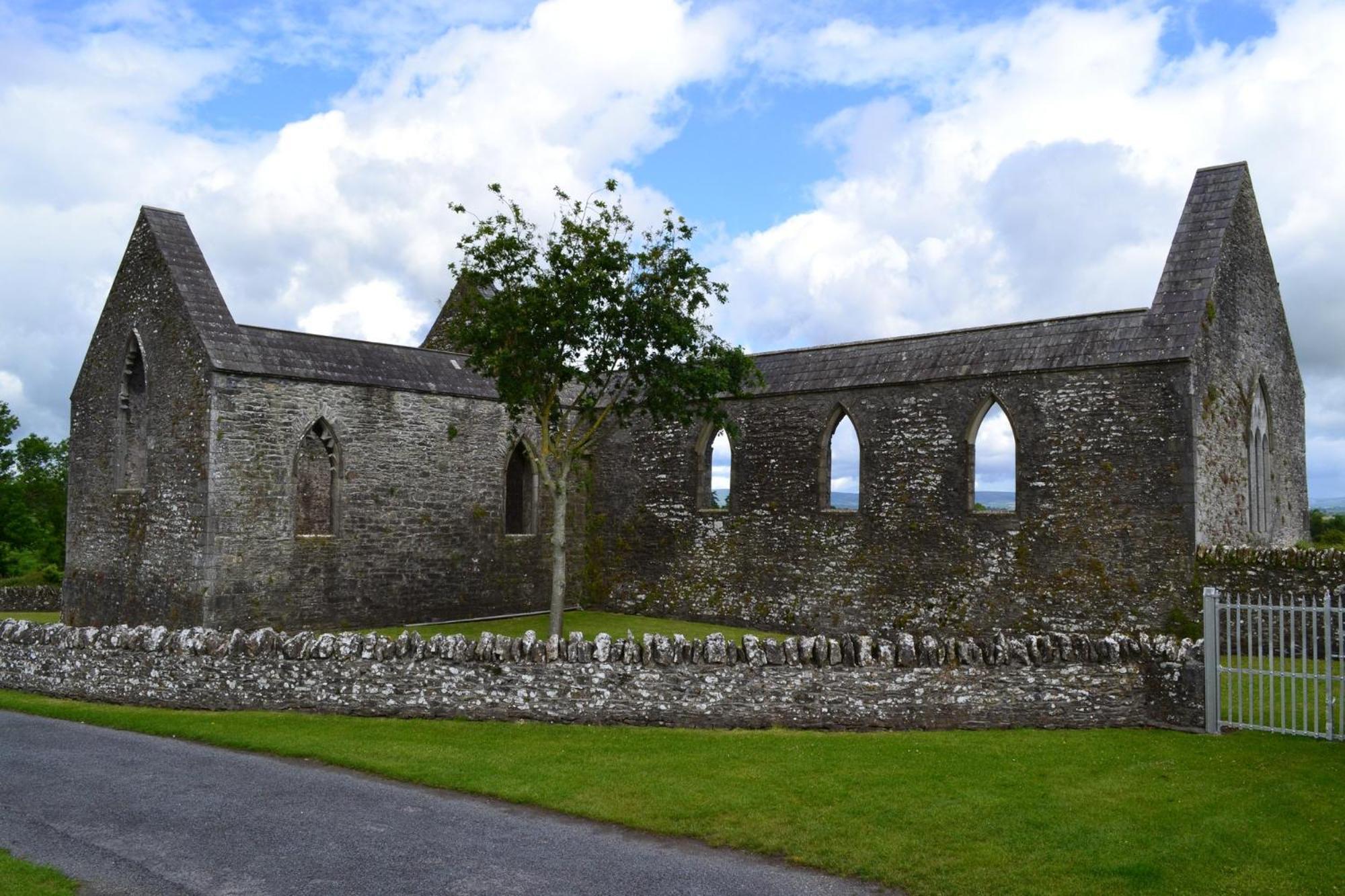 Oak House Laois B&B Portarlington Buitenkant foto