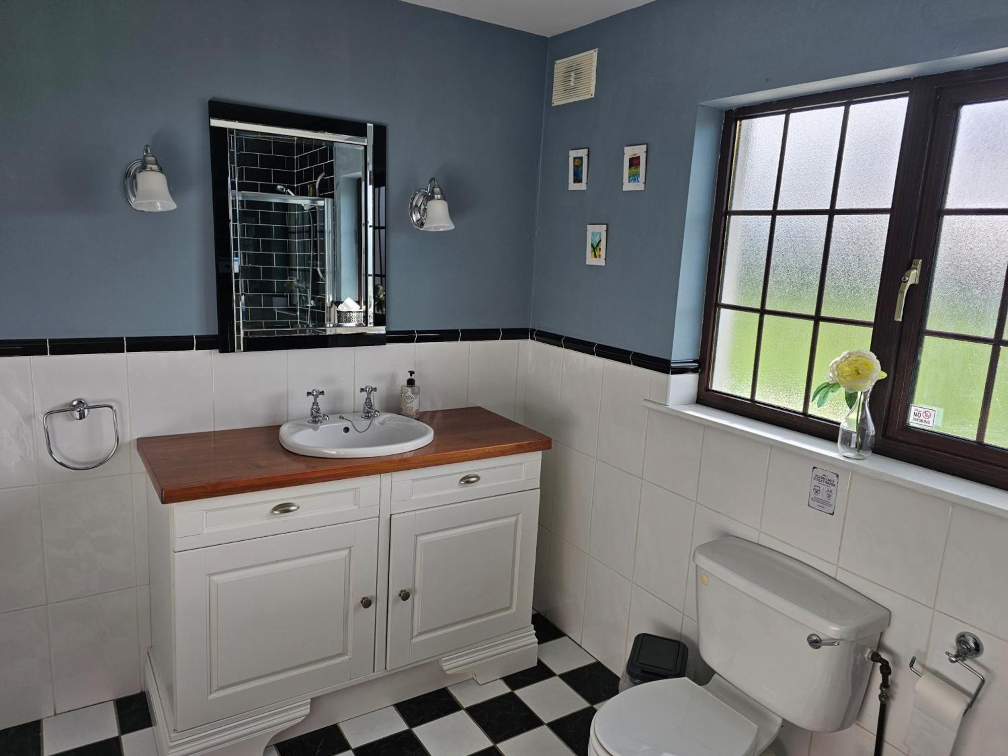 Oak House Laois B&B Portarlington Buitenkant foto